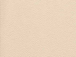 lmporter leather 進口牛皮66系列 真皮 牛皮 沙發皮革 6605 奶茶色